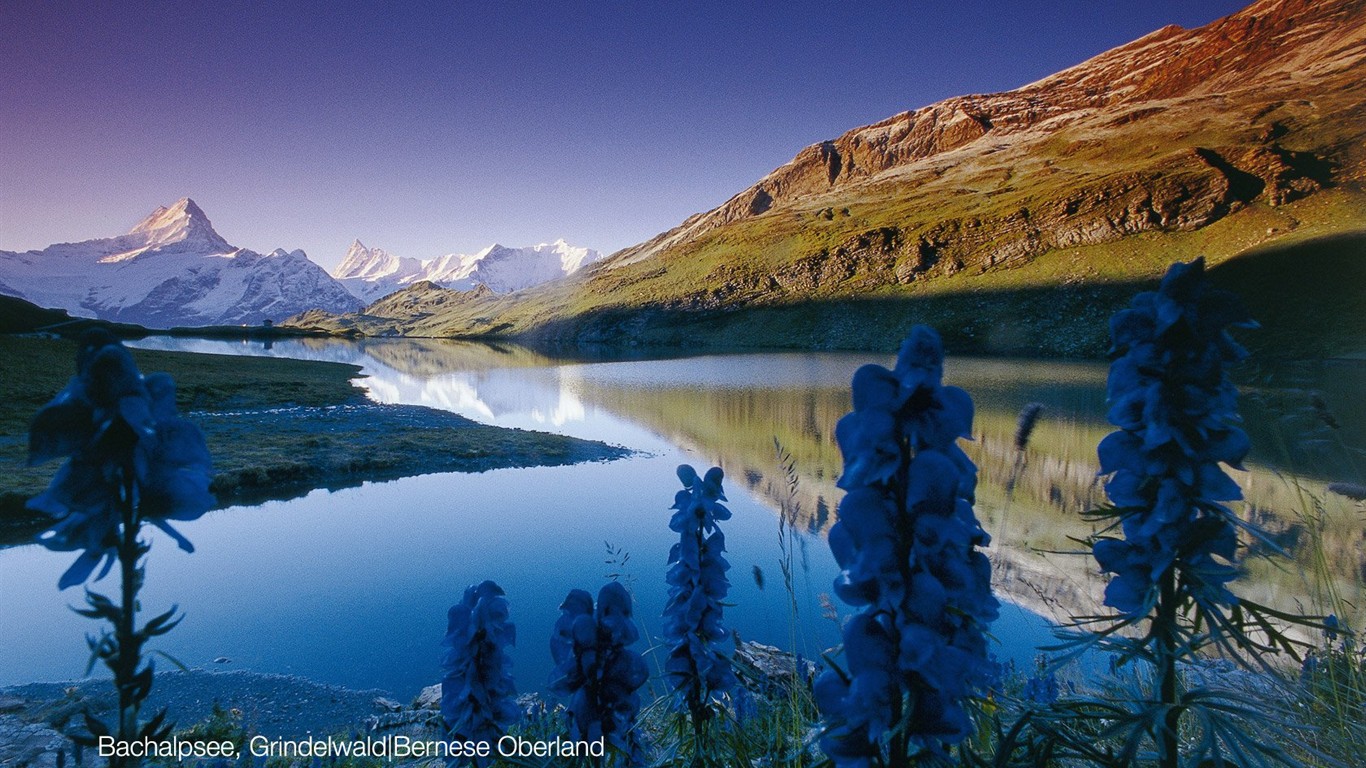 Suiza fondos de escritorio de lugares de interés turístico de verano #10 - 1366x768