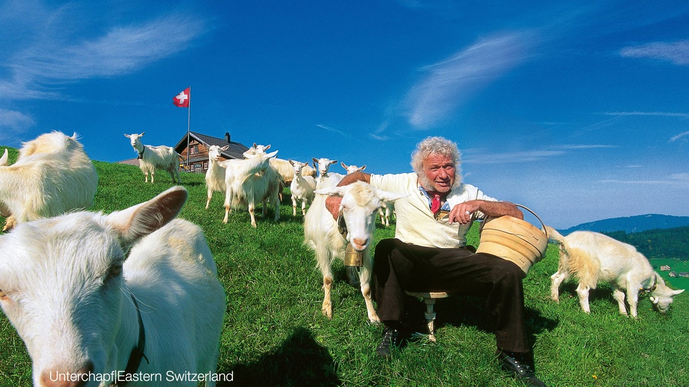 Suiza fondos de escritorio de lugares de interés turístico de verano #18 - 1366x768