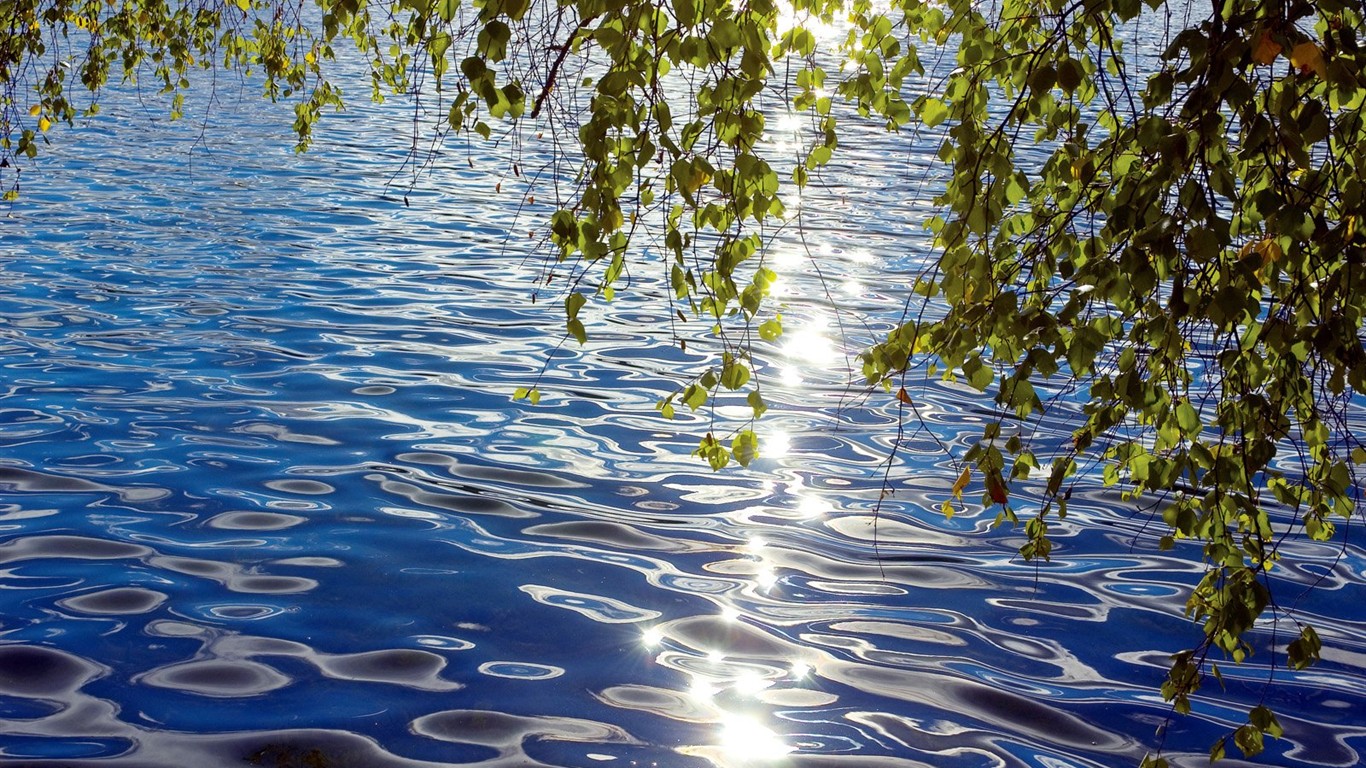 Un beau paysage naturel en Sibérie #2 - 1366x768