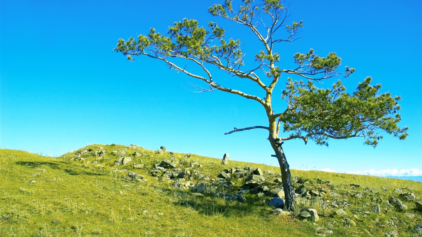 シベリアの美しい自然の風景 #5 - 1366x768