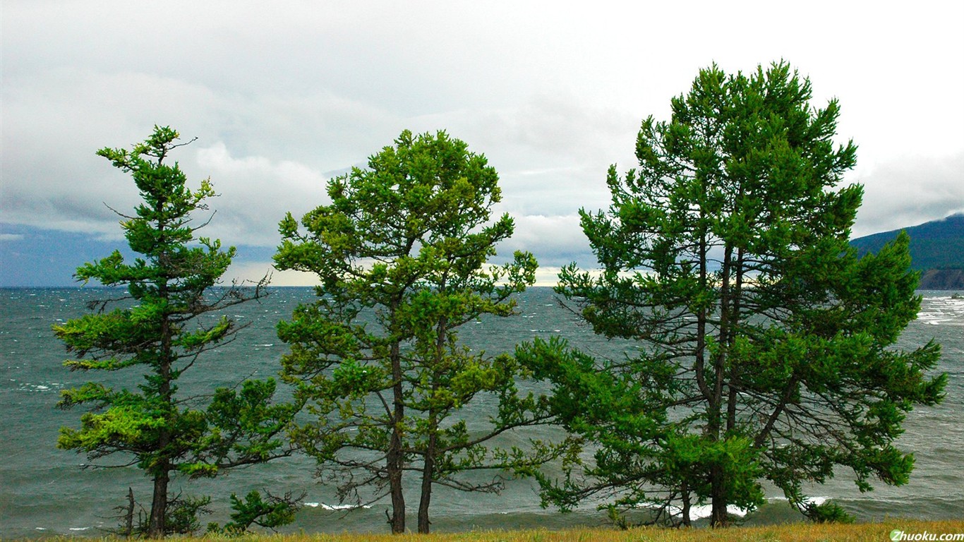 Un beau paysage naturel en Sibérie #11 - 1366x768