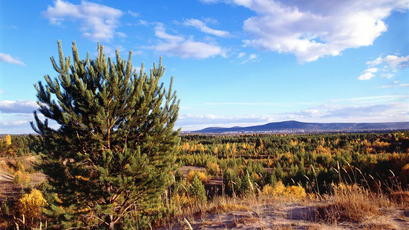 Un beau paysage naturel en Sibérie #17 - 1366x768