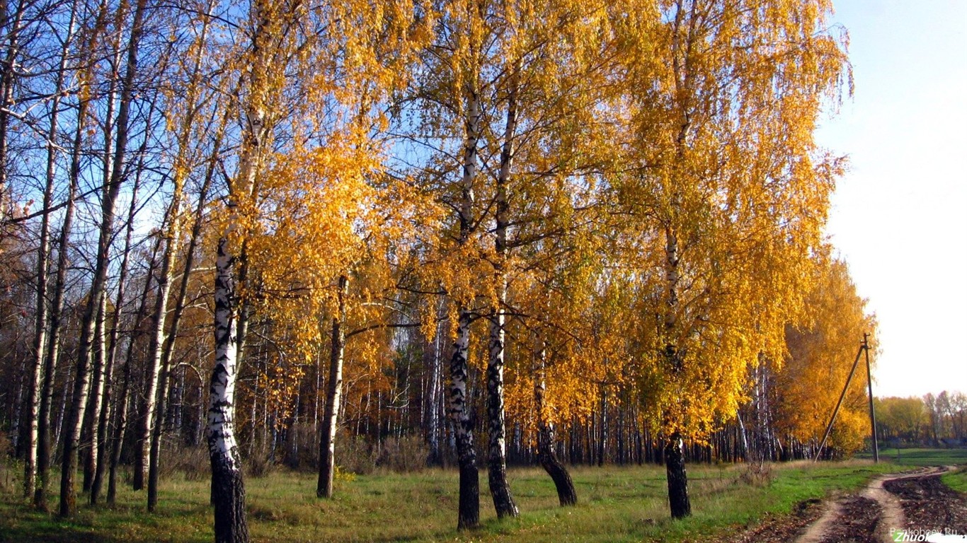 시베리아의 아름다운 자연 풍경 #21 - 1366x768