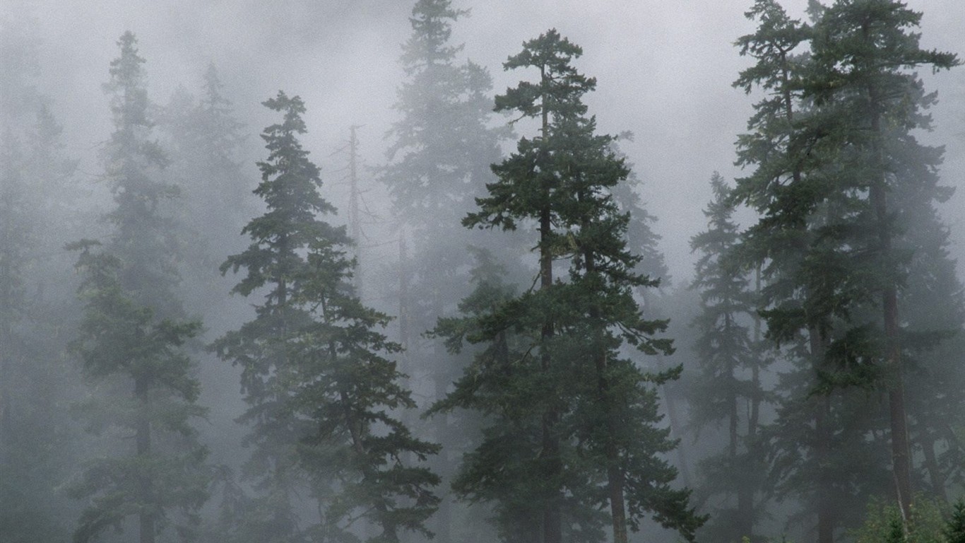 Un beau paysage naturel en Sibérie #22 - 1366x768