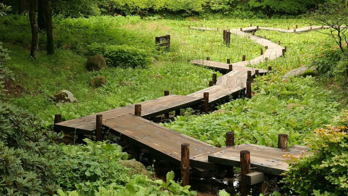 夏日北海道郊外風景 #2 - 1366x768