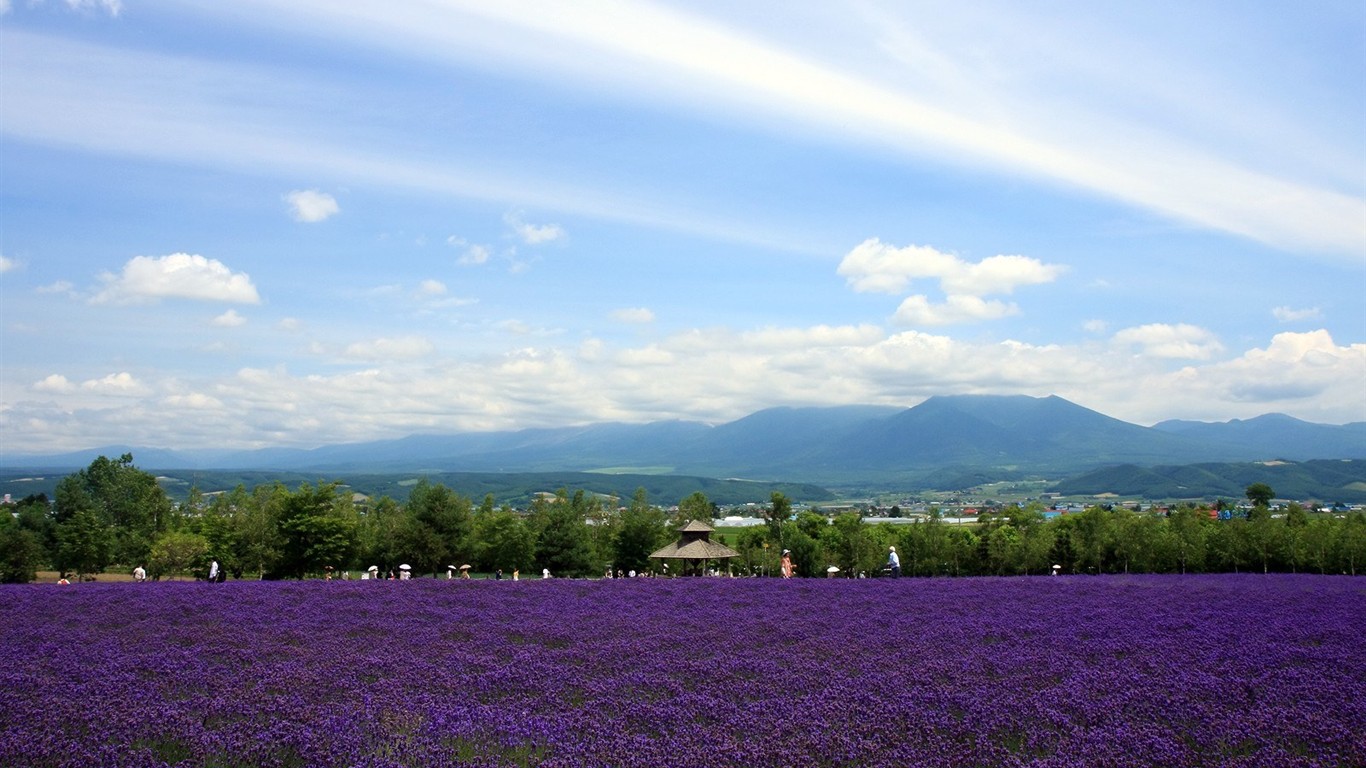 Hokkaido countryside scenery #3 - 1366x768