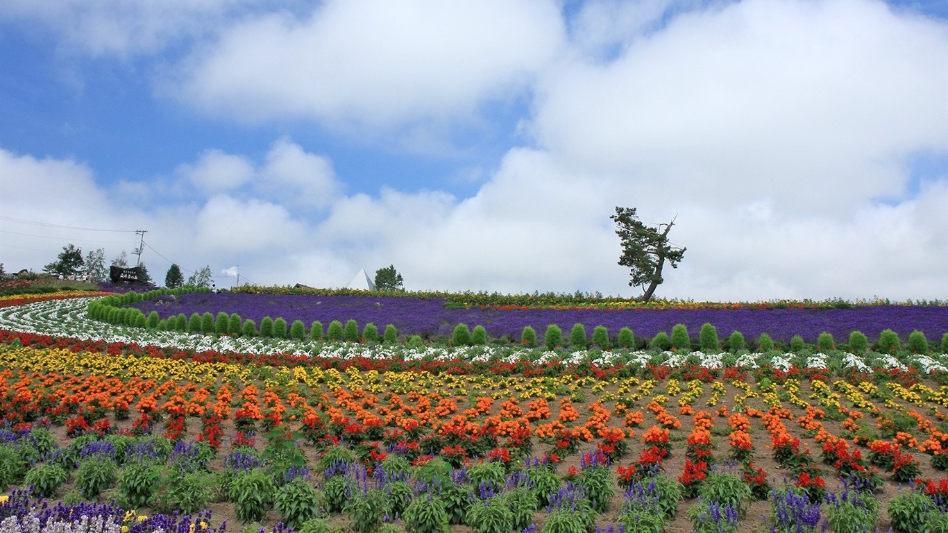 Hokkaido countryside scenery #7 - 1366x768