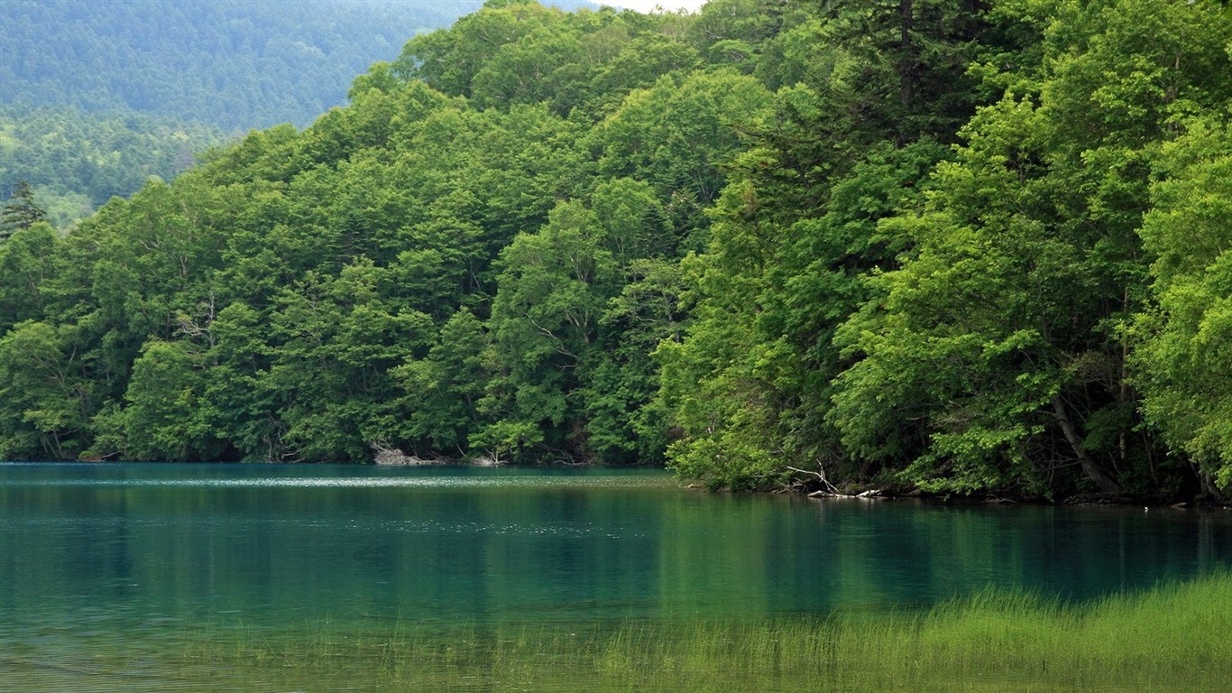 夏日北海道郊外風景 #8 - 1366x768