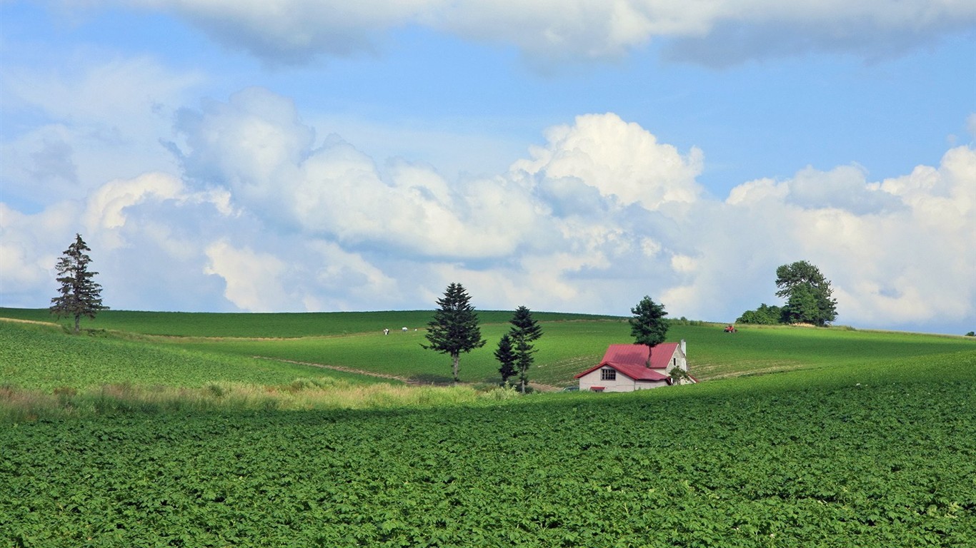 夏日北海道郊外風景 #10 - 1366x768