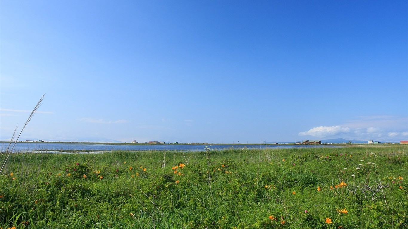 夏日北海道郊外風景 #13 - 1366x768