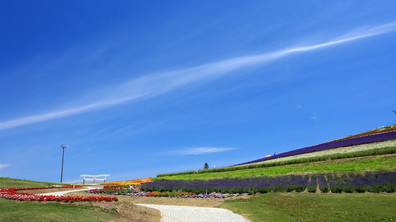 夏日北海道郊外風景 #16 - 1366x768