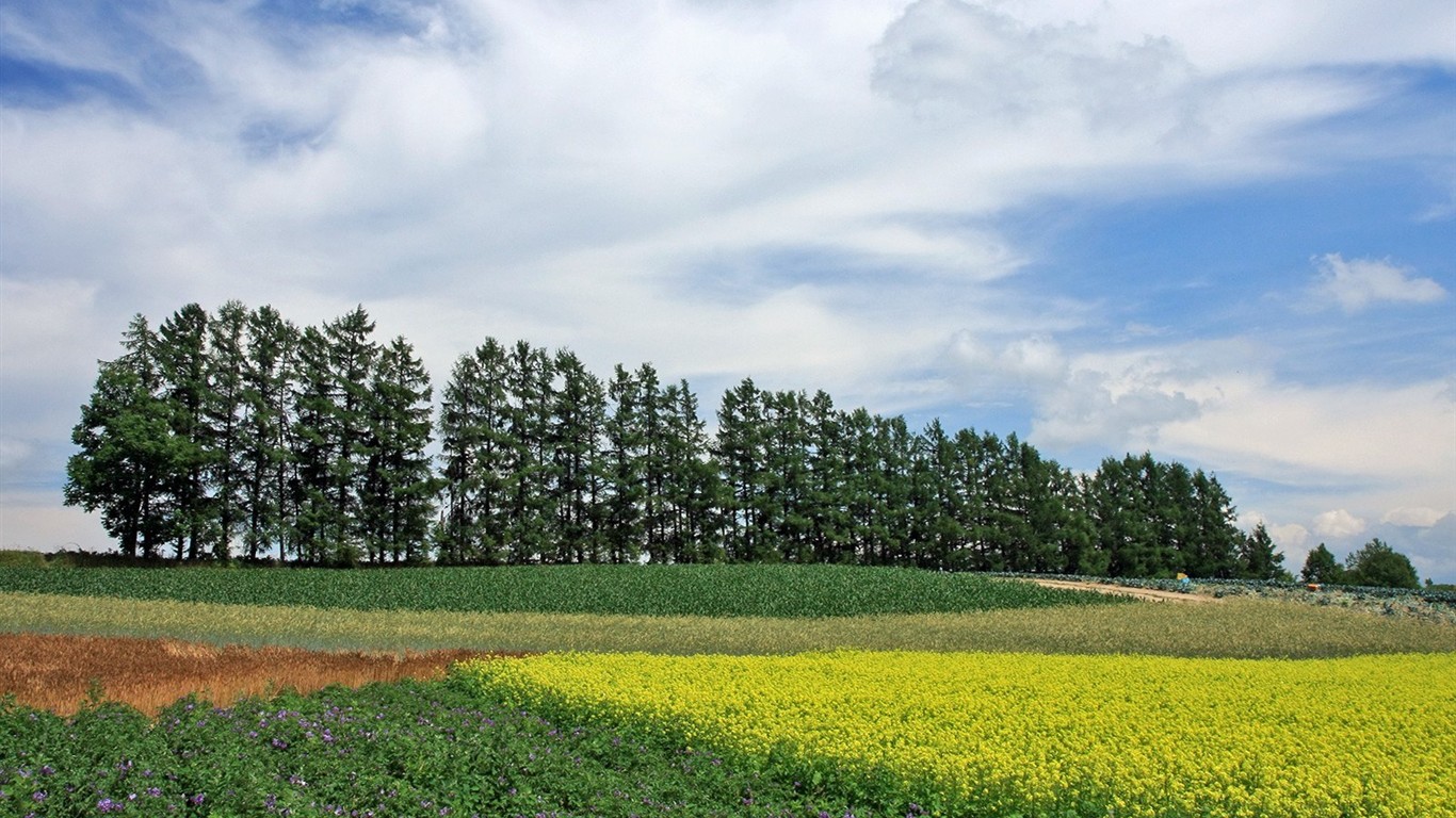 夏日北海道郊外風景 #18 - 1366x768