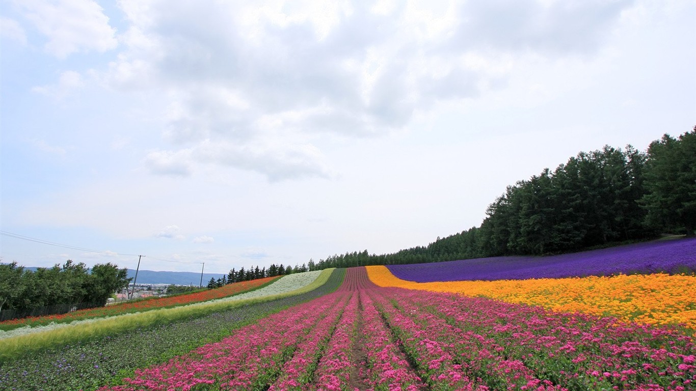 Hokkaido countryside scenery #19 - 1366x768