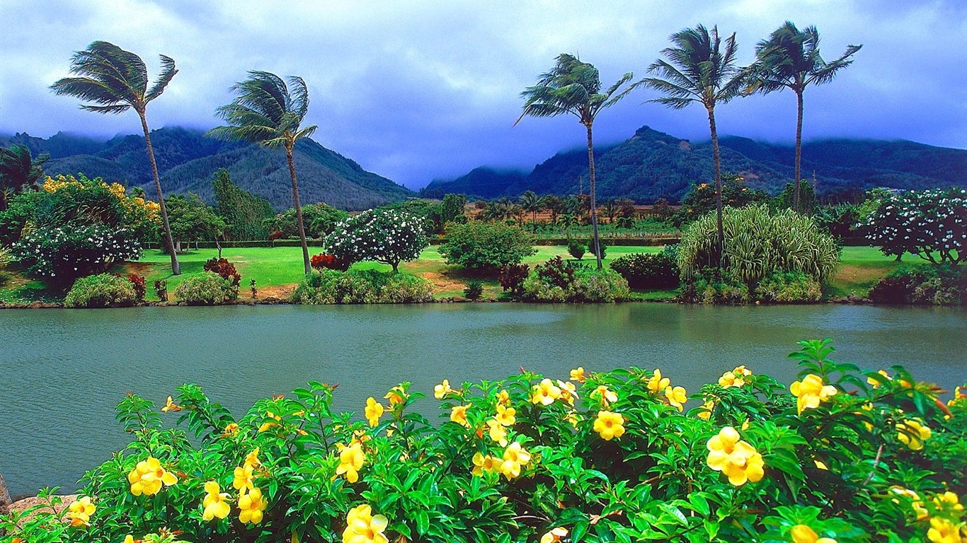 夏威夷海滨风光1 - 1366x768