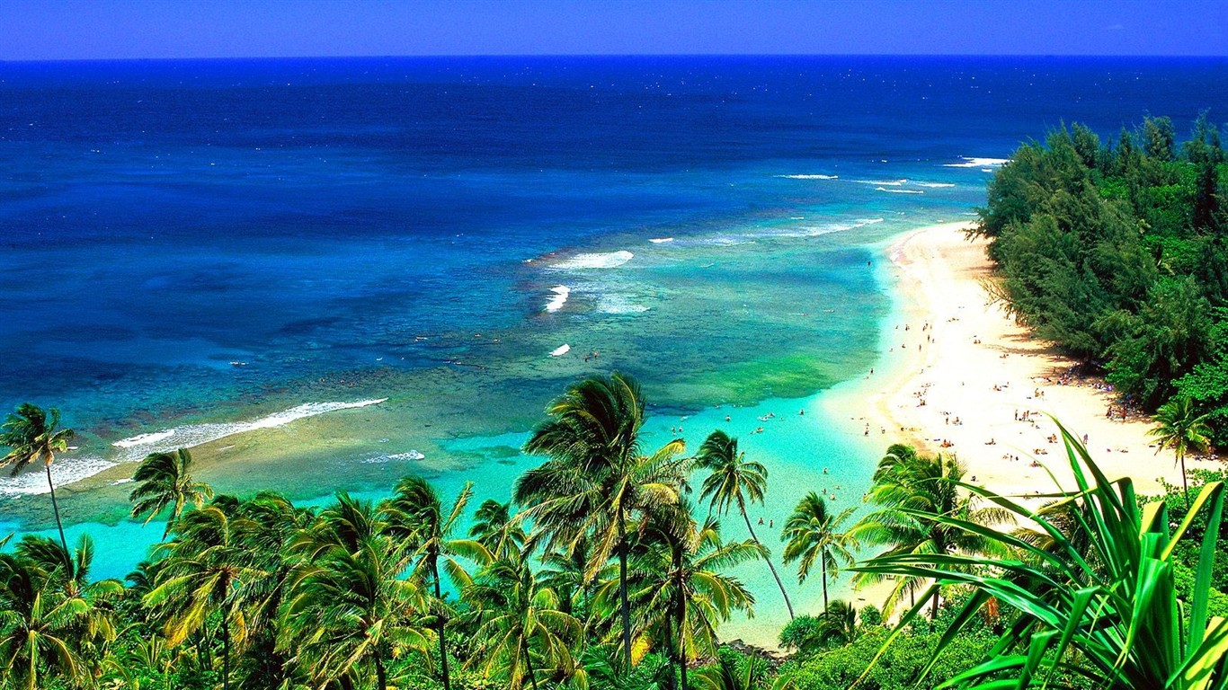 Hawaiianischer Strand Landschaft #16 - 1366x768