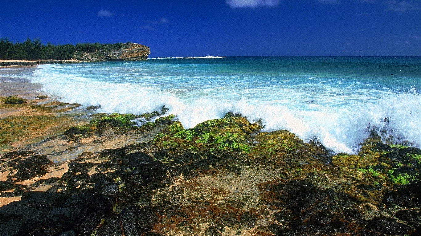 havajské pláži scenérie #19 - 1366x768