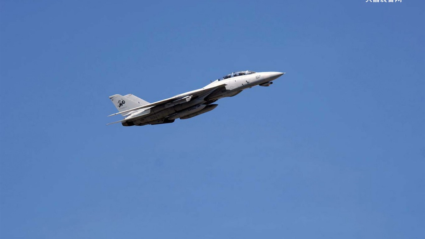 美國海軍F14雄貓戰鬥機 #3 - 1366x768