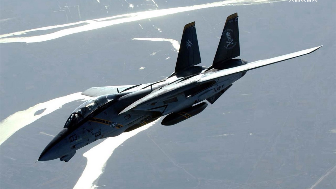 美國海軍F14雄貓戰鬥機 #8 - 1366x768
