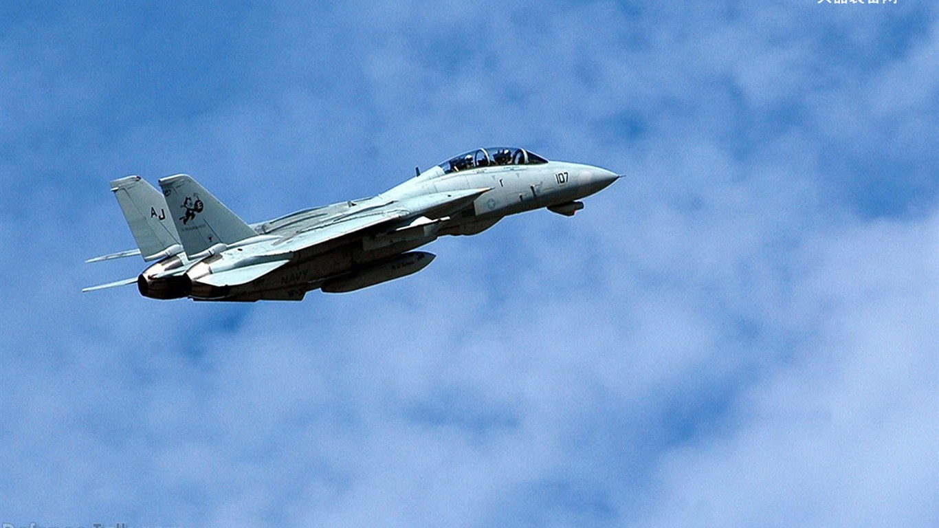 美國海軍F14雄貓戰鬥機 #23 - 1366x768