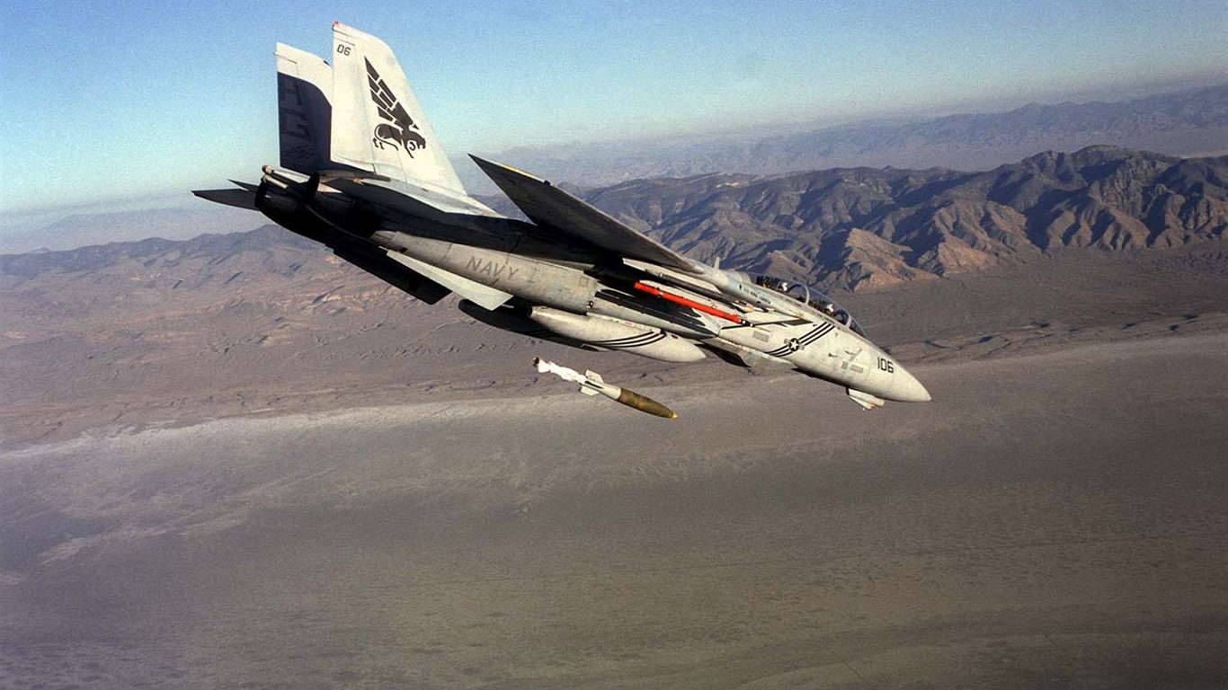 미 해군 F14 톰캣 전투기 #36 - 1366x768