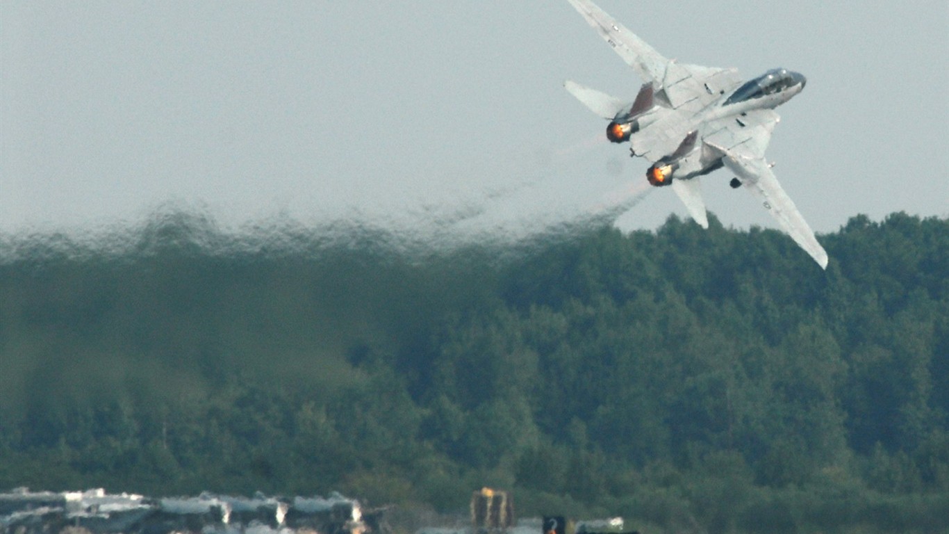 米海軍F14キーTomcatの戦闘機 #38 - 1366x768