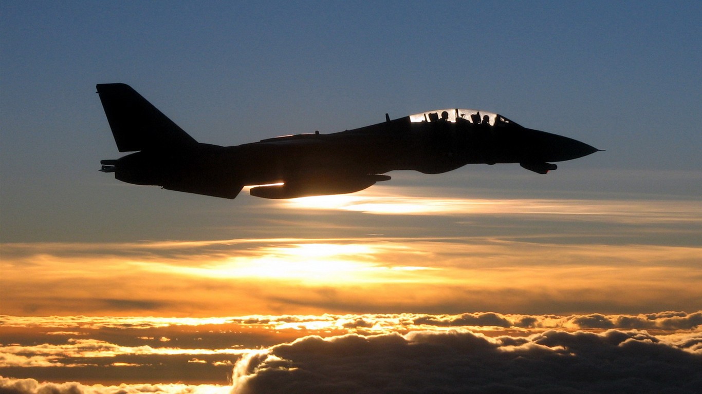 U.S. Navy F14 Tomcat fighter #39 - 1366x768