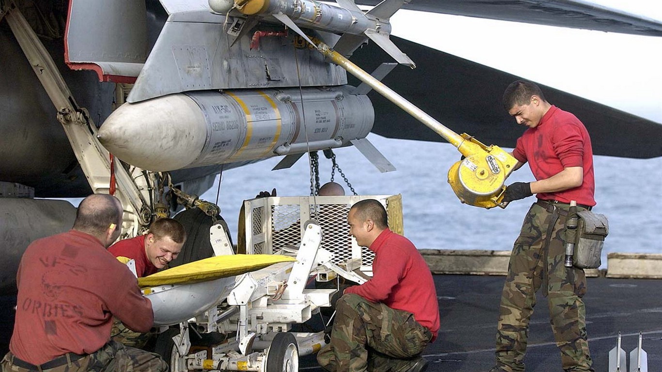 美國海軍F14雄貓戰鬥機 #42 - 1366x768