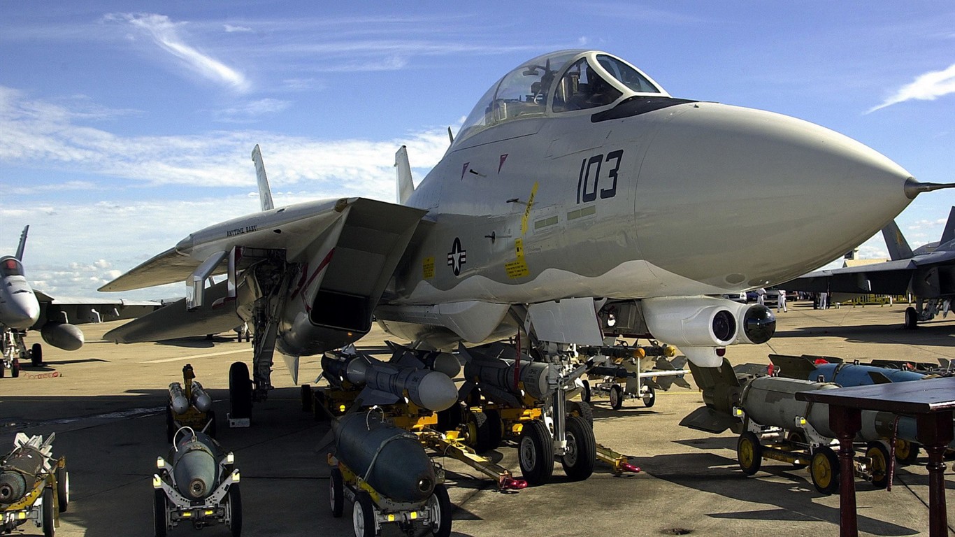 U.S. Navy F14 Tomcat fighter #45 - 1366x768