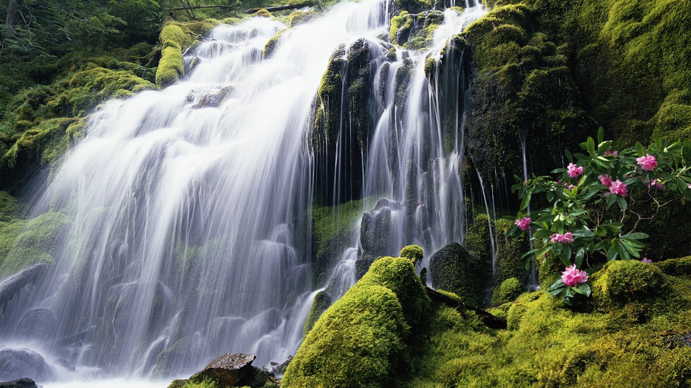 Windows7 system comes with wallpaper #3 - 1366x768