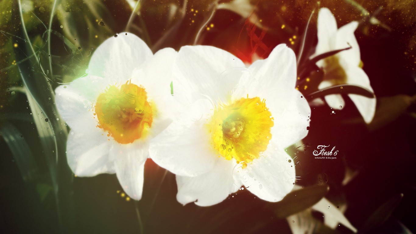 高清晰花朵壁紙 #15 - 1366x768