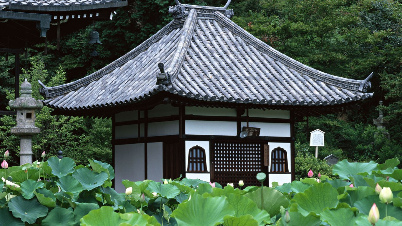 Kyoto, Japonsko, Krajina Tapety #1 - 1366x768