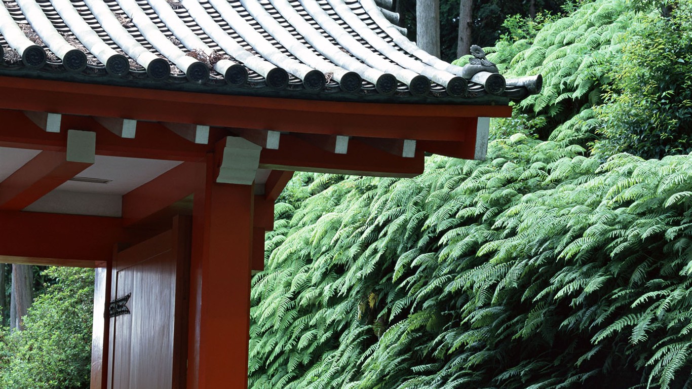日本京都風景壁紙 #6 - 1366x768