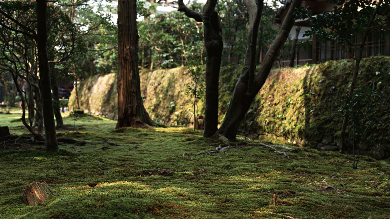 日本京都風景壁紙 #23 - 1366x768