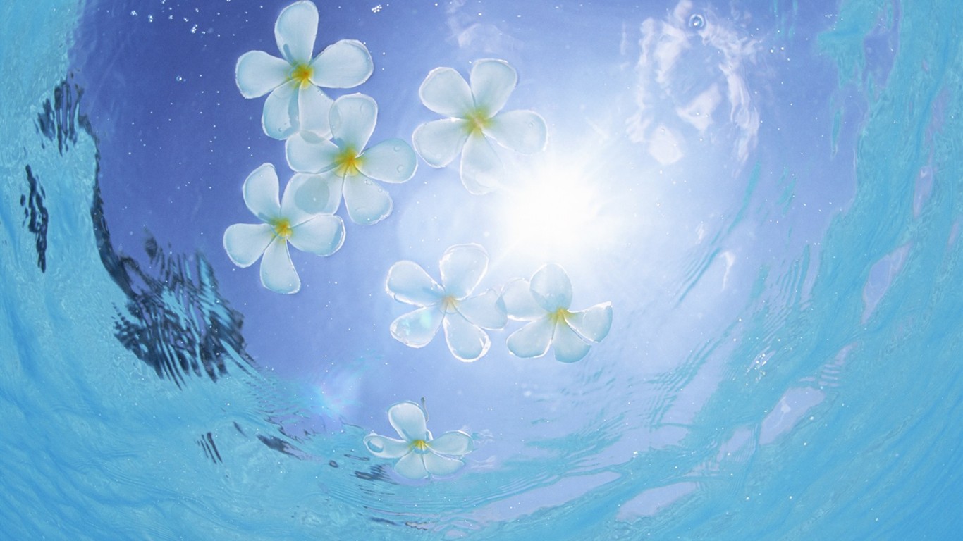 Maldivas agua y el cielo azul #10 - 1366x768