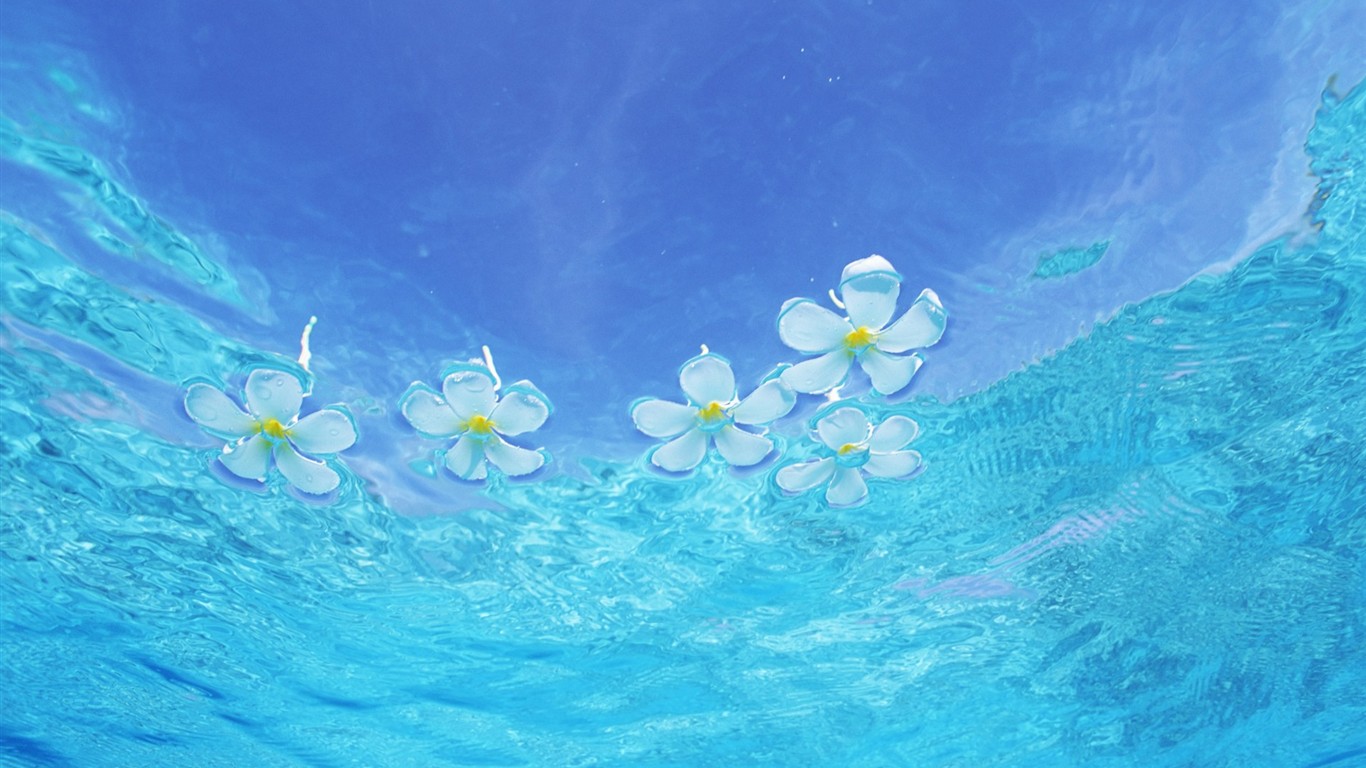 몰디브 물과 푸른 하늘 #11 - 1366x768