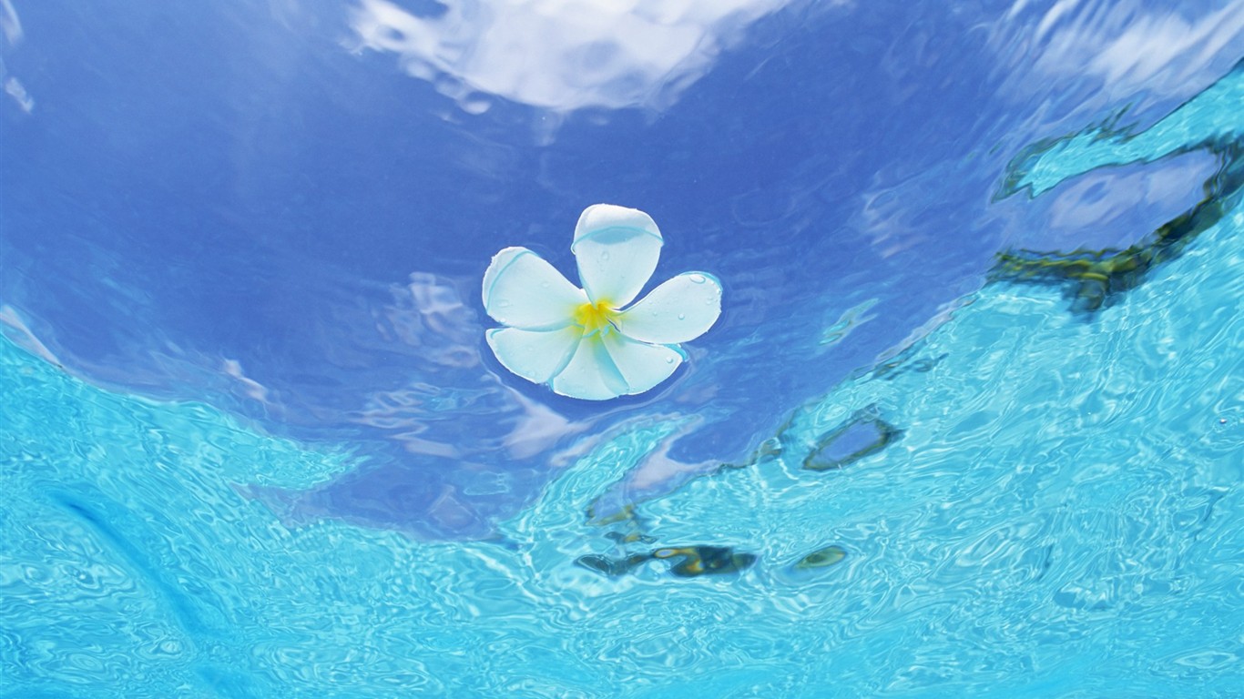 Malediven Wasser und blauer Himmel #12 - 1366x768
