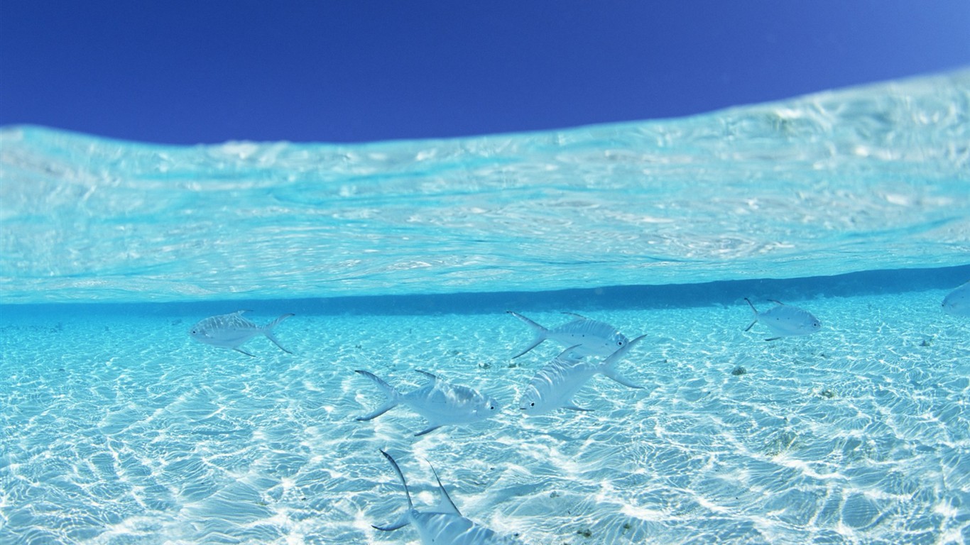 Malediven Wasser und blauer Himmel #23 - 1366x768