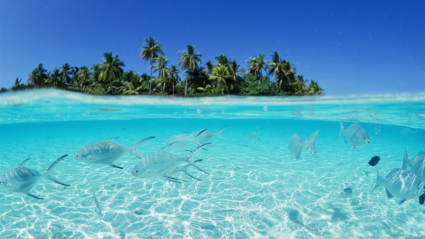 Malediven Wasser und blauer Himmel #24 - 1366x768