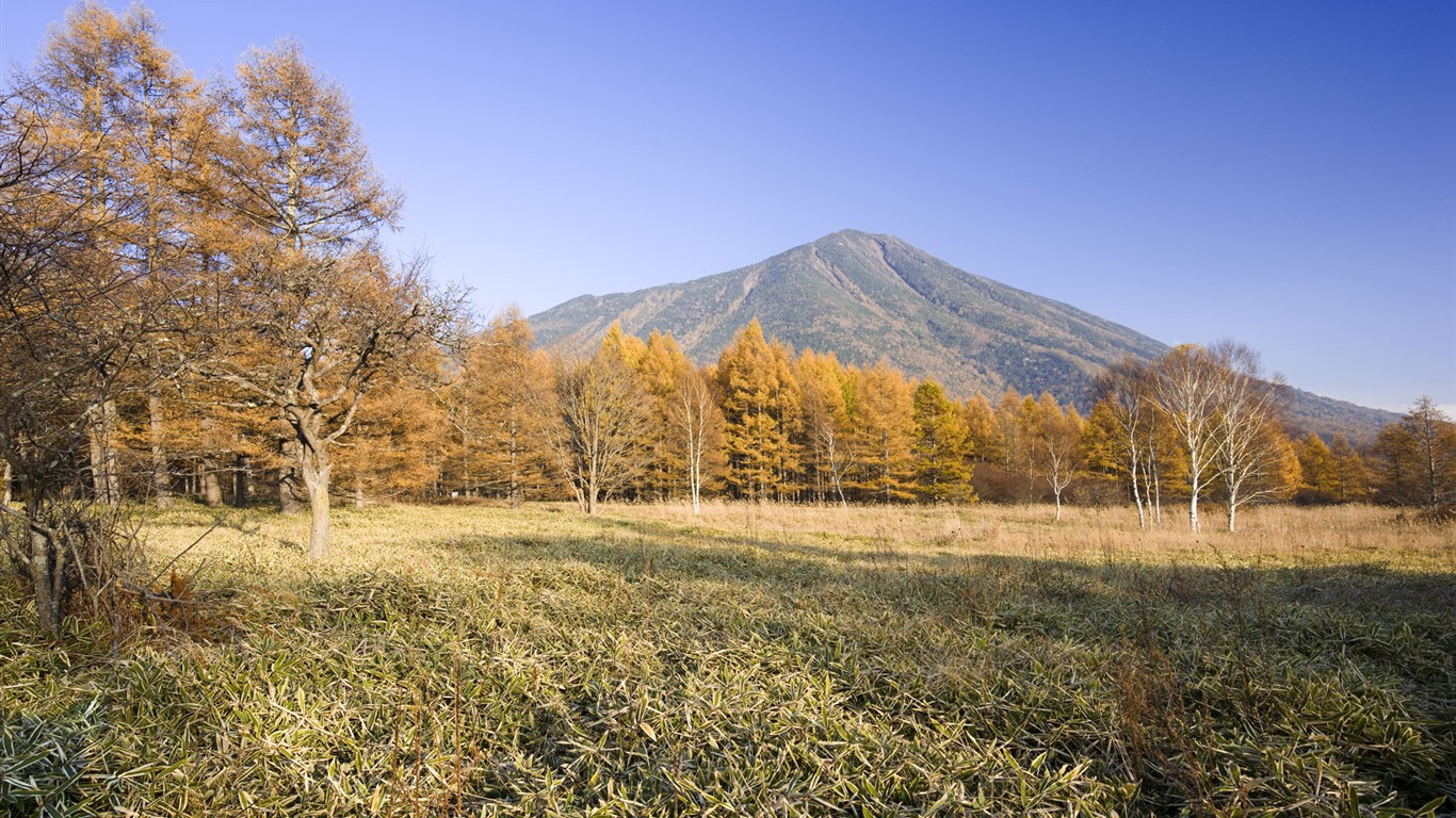 日本自然風光壁紙 #1 - 1366x768