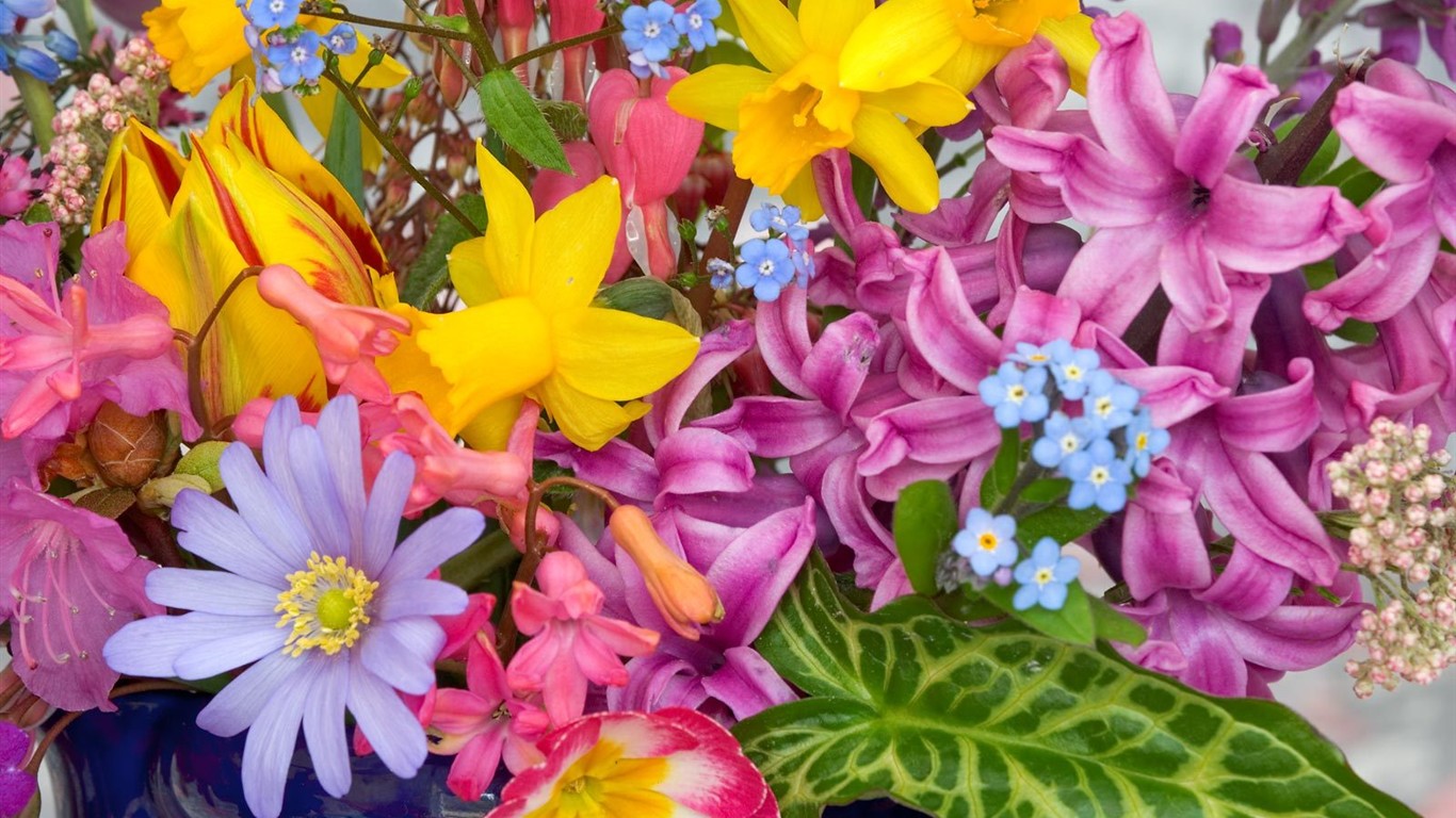 Belles fleurs fonds d'écran (3) #42 - 1366x768