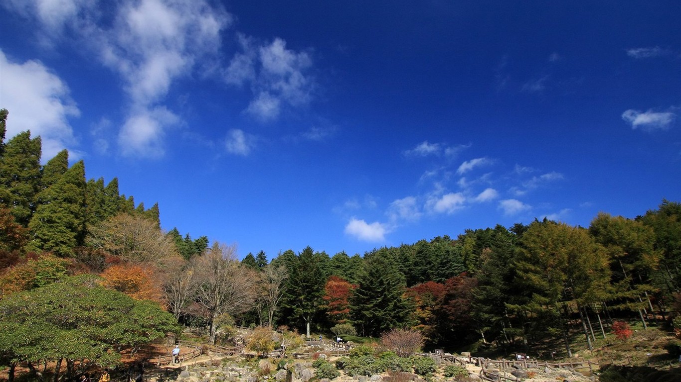 Japan Tour: Montañas Rokko hojas #9 - 1366x768
