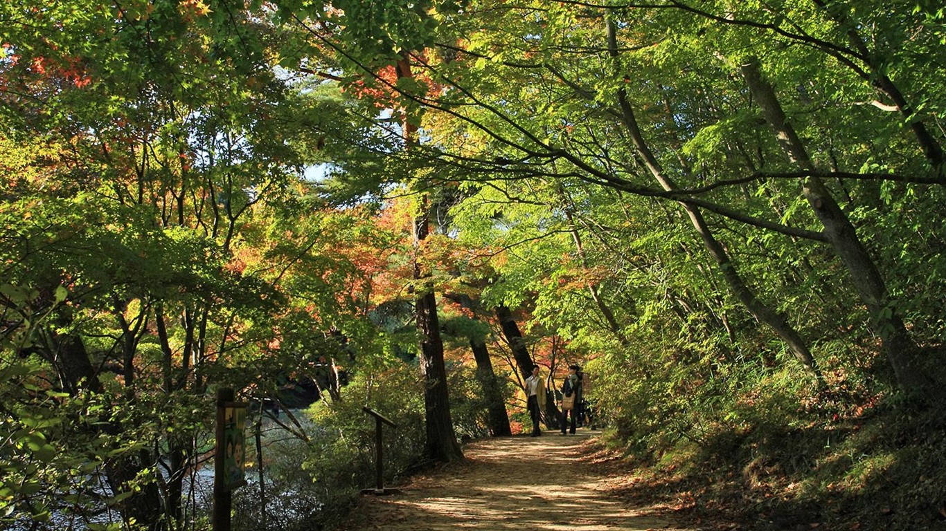 Japan Tour: Montañas Rokko hojas #19 - 1366x768