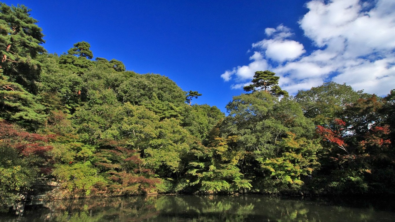 日本ツアーは：六甲山葉 #20 - 1366x768