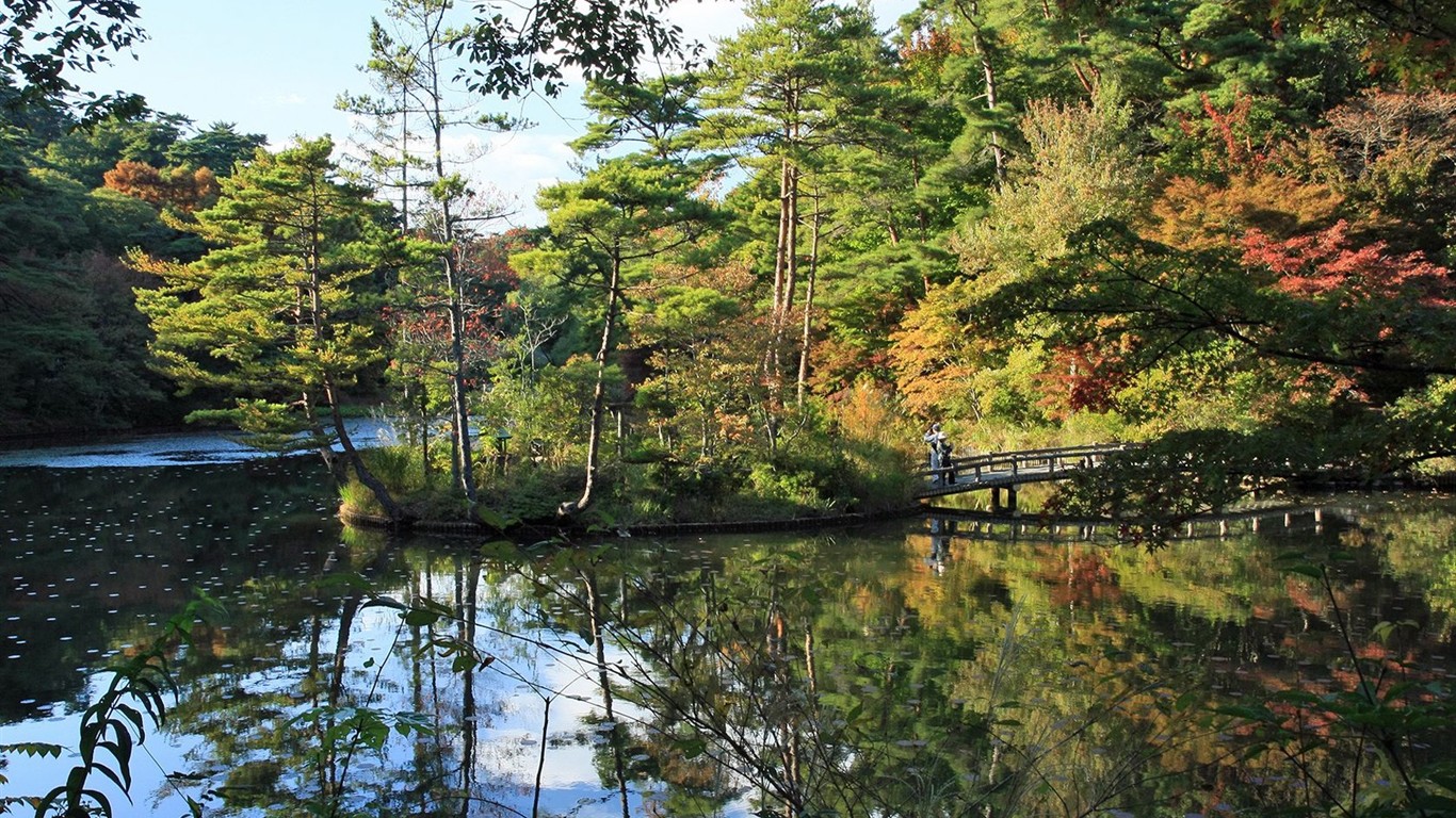 Japan Tour: Montañas Rokko hojas #28 - 1366x768