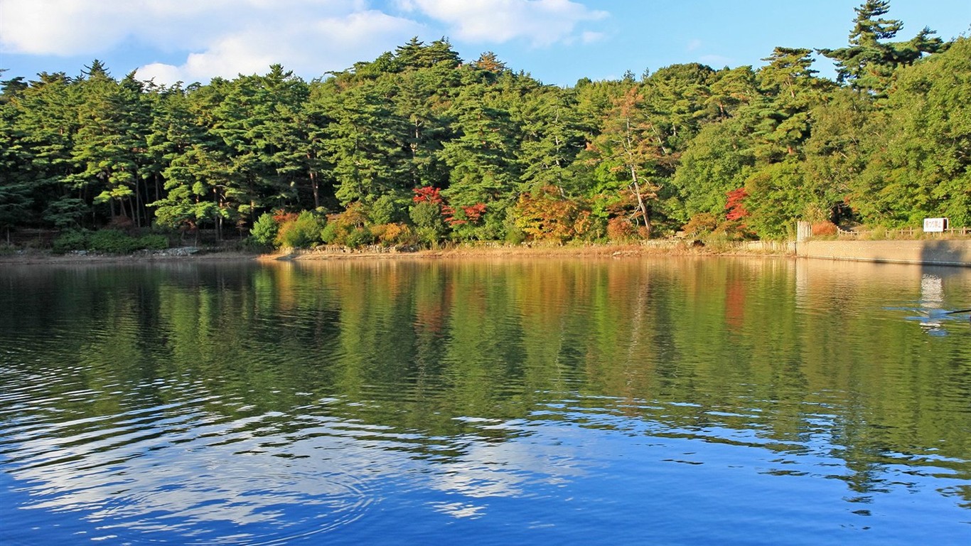 Japan Tour: Montañas Rokko hojas #30 - 1366x768