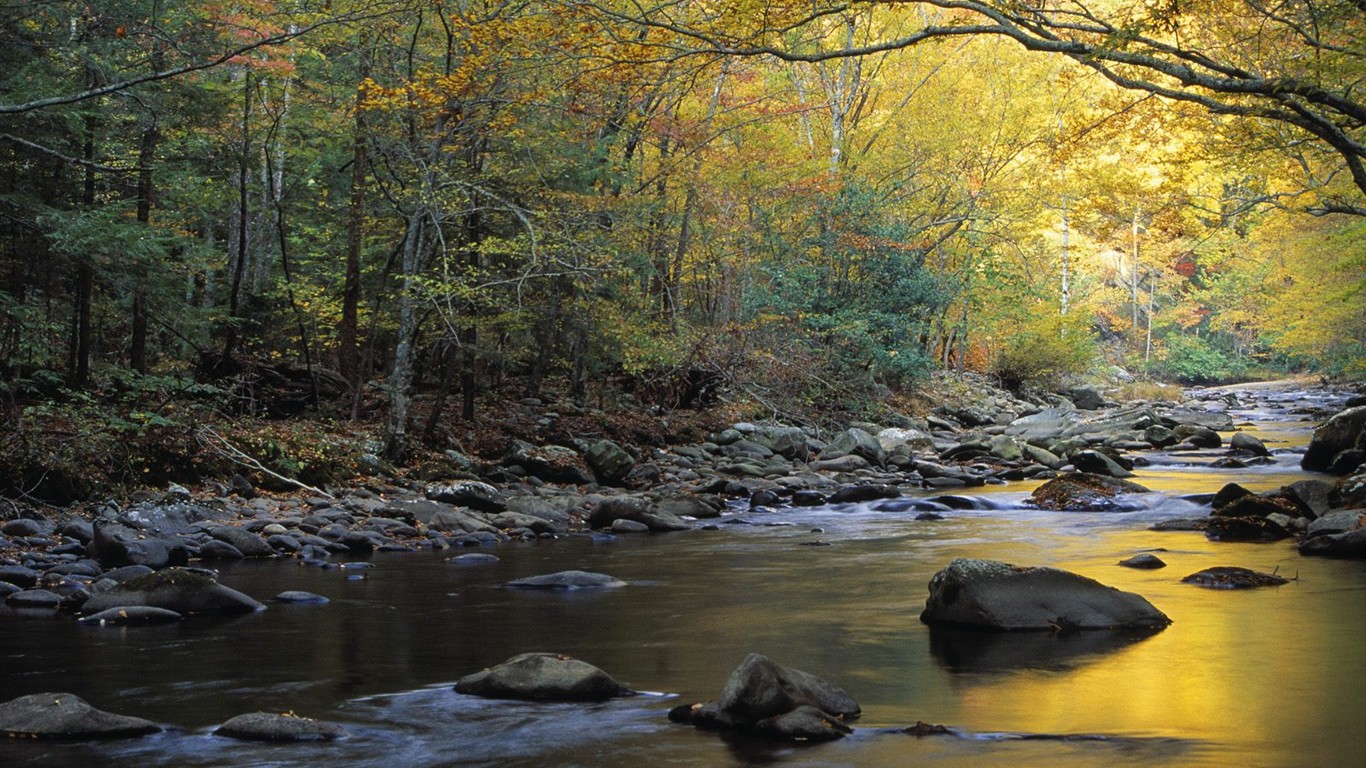 Dickes Herbstlandschaft Tapete #9 - 1366x768