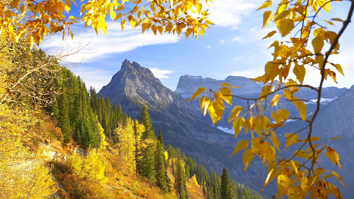 Fond d'écran épais décor de l'automne #11 - 1366x768