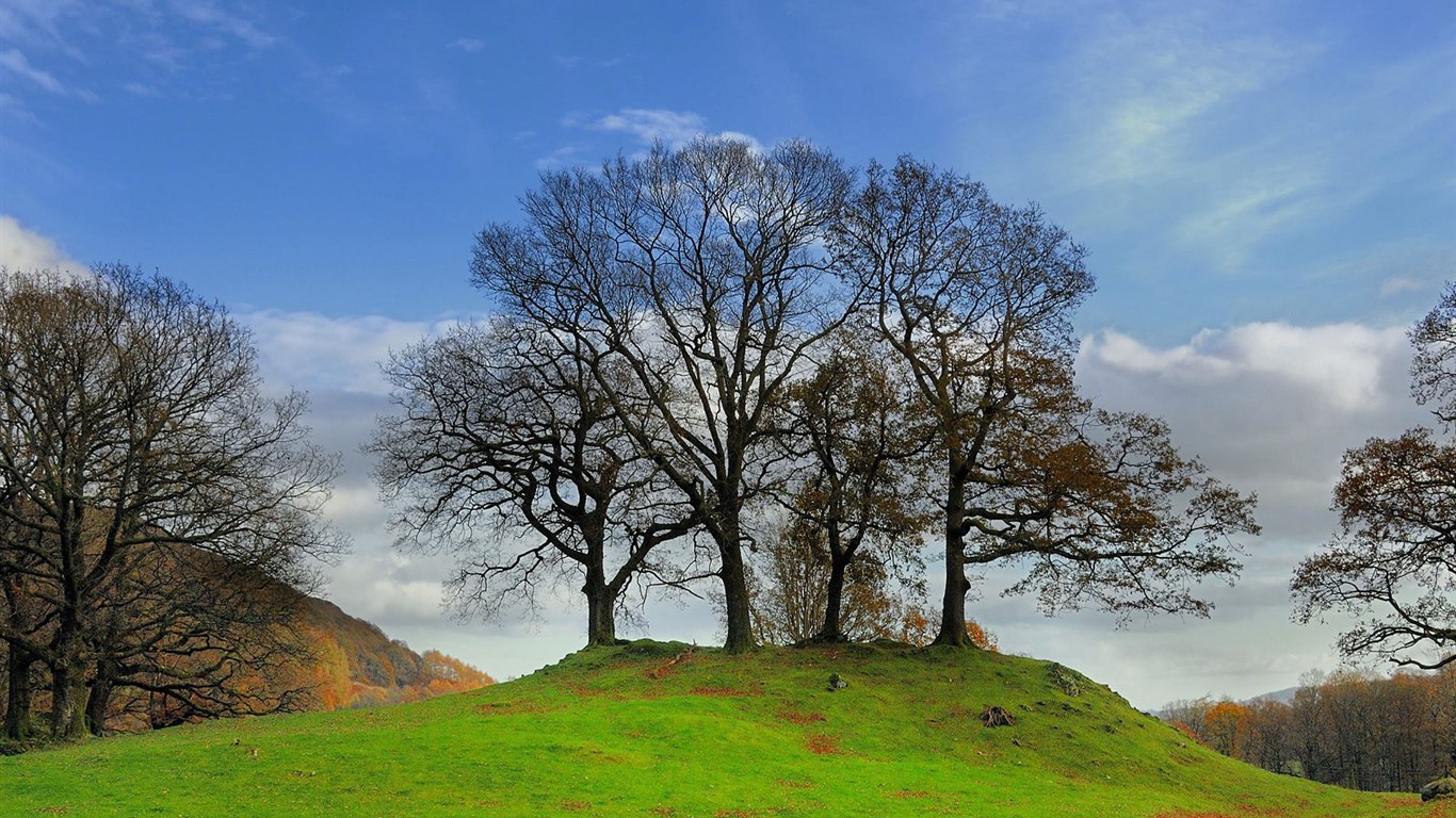 Fond d'écran épais décor de l'automne #25 - 1366x768