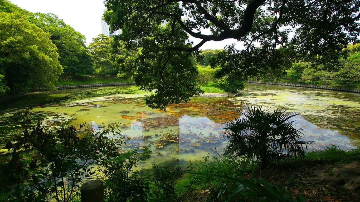 Parc beau fond d'écran #2 - 1366x768