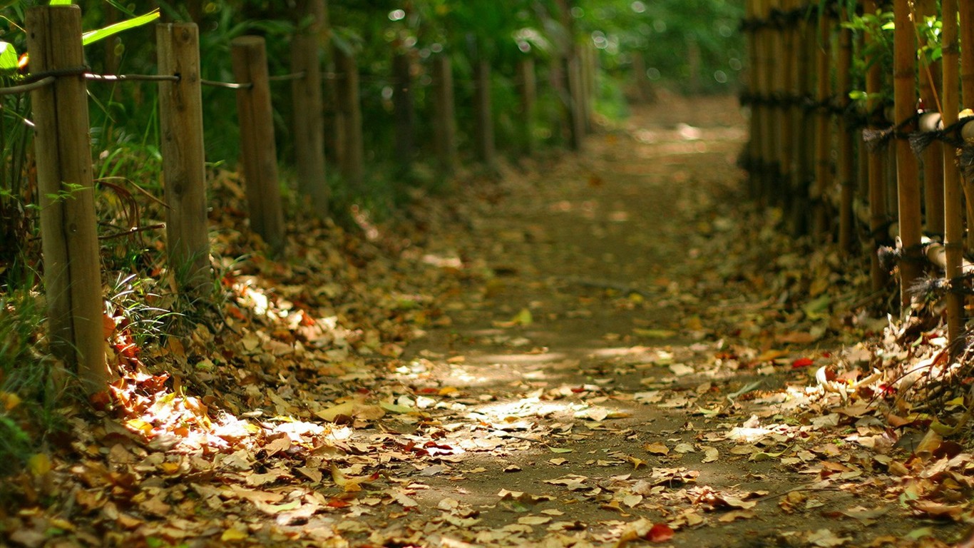 寧靜庭園 公園美景壁紙 #19 - 1366x768